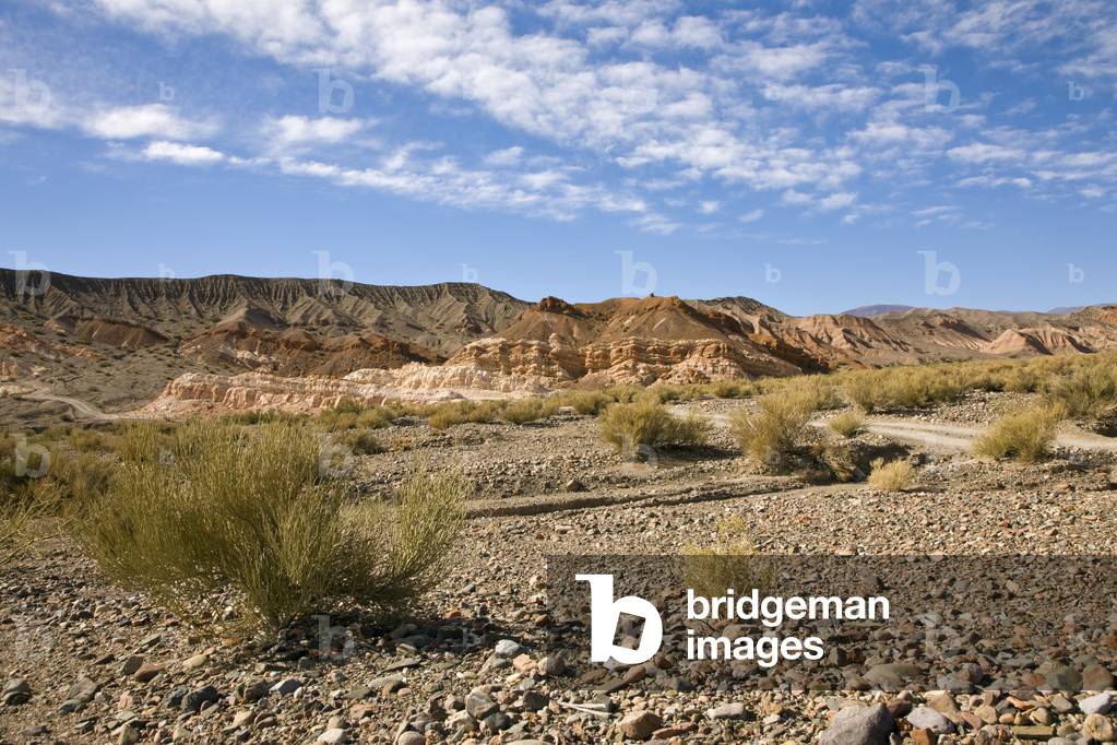 Cerros Pintados, Calingasta, Argentina (photo)
