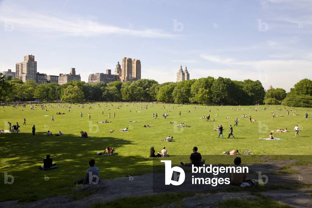 Sheep Meadow in Central Park, New York (photo)