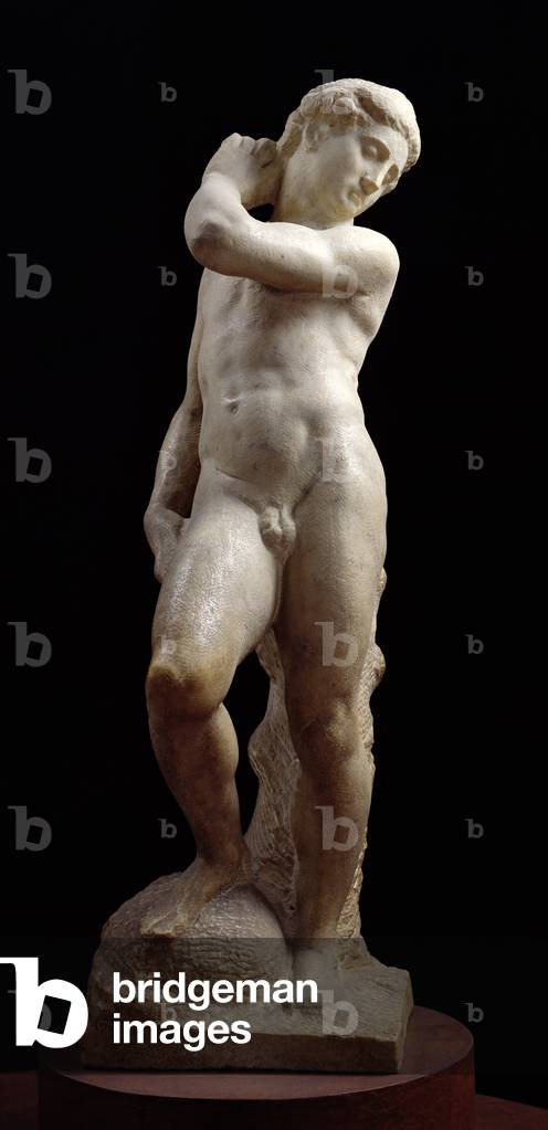Apollo, or David, c.1530 (marble) (see also 79842-3)