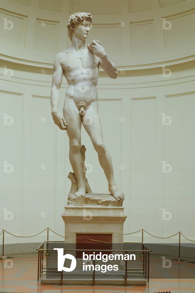 David, 1501-04 (marble)