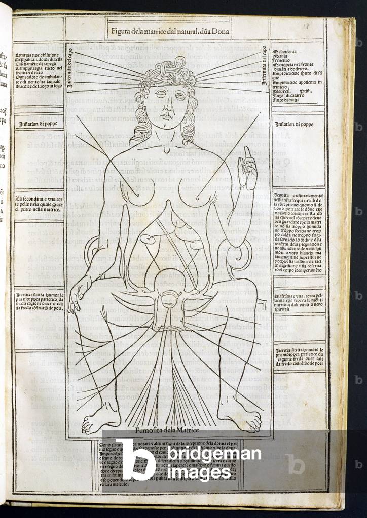 Female Anatomy from 'Fasciculus Medicinae' by Johannes de Ketham (d.c.1490) c.1507 (engraving)