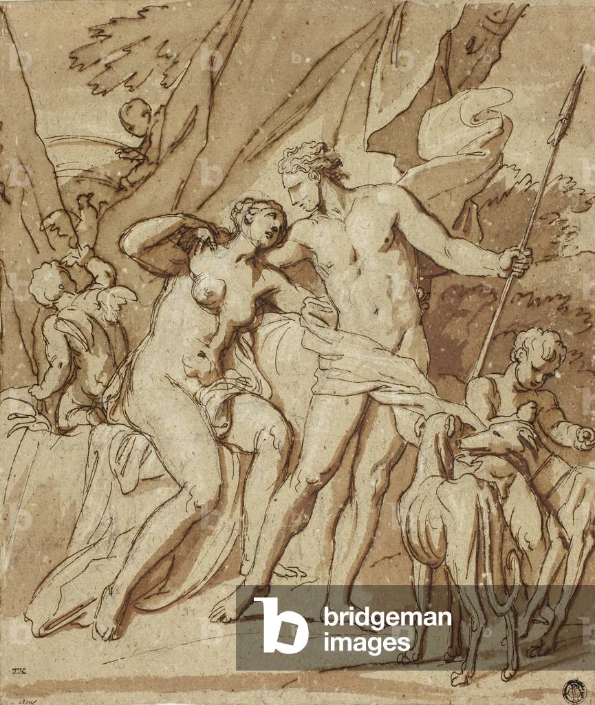 Venus and Adonis (pen & brown ink, with brush & brown wash & black chalk, heightened with touches of white chalk, on grayish-tan laid paper, laid down on cream laid paper)