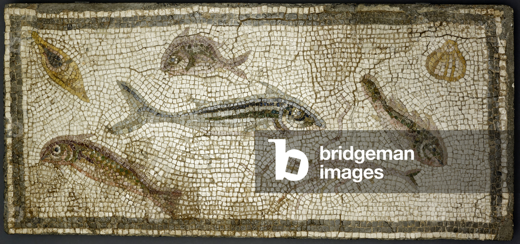 Mosaic panel showing fishes, probably 3rd century A.D. (stone, mortar, cement backing (modern))