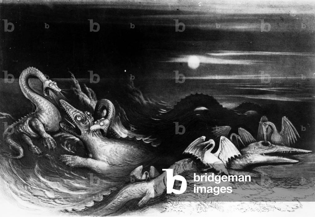 Sea Monsters Fight, from 'The Great Sea Dragons' by Thomas Hawkins, 1840 (litho) (bw photo)