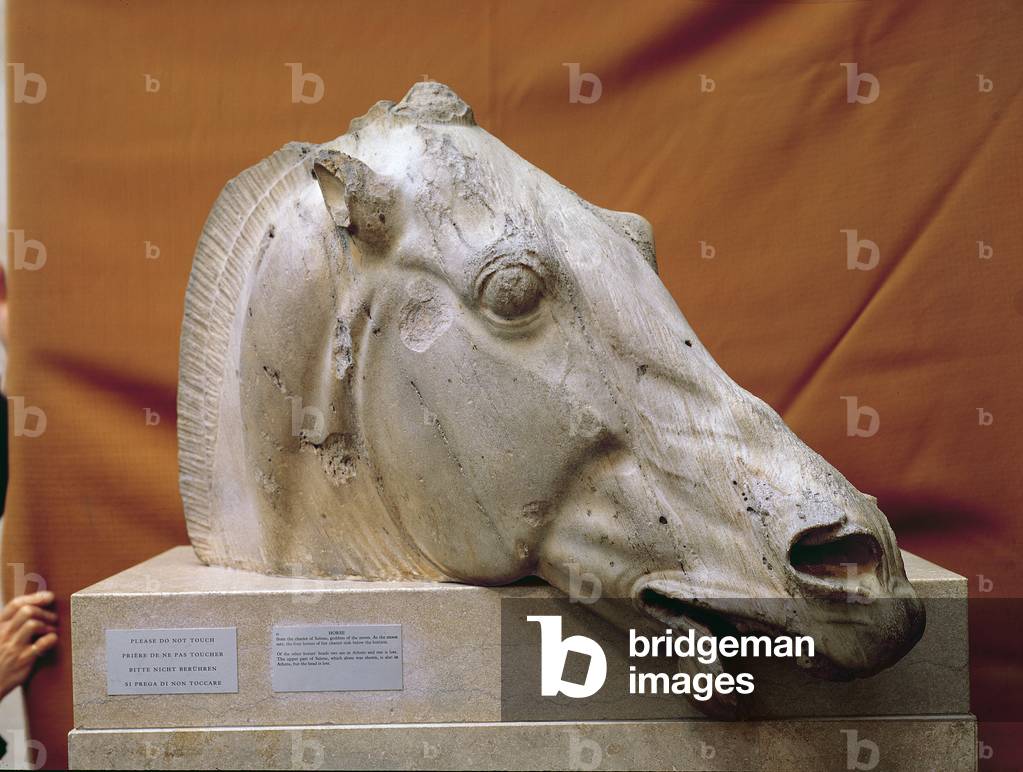 "testa di un cavallo di selene pietra", 05th- Secolo di Greek school