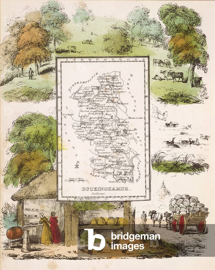 Map of Buckinghamshire (colour litho)