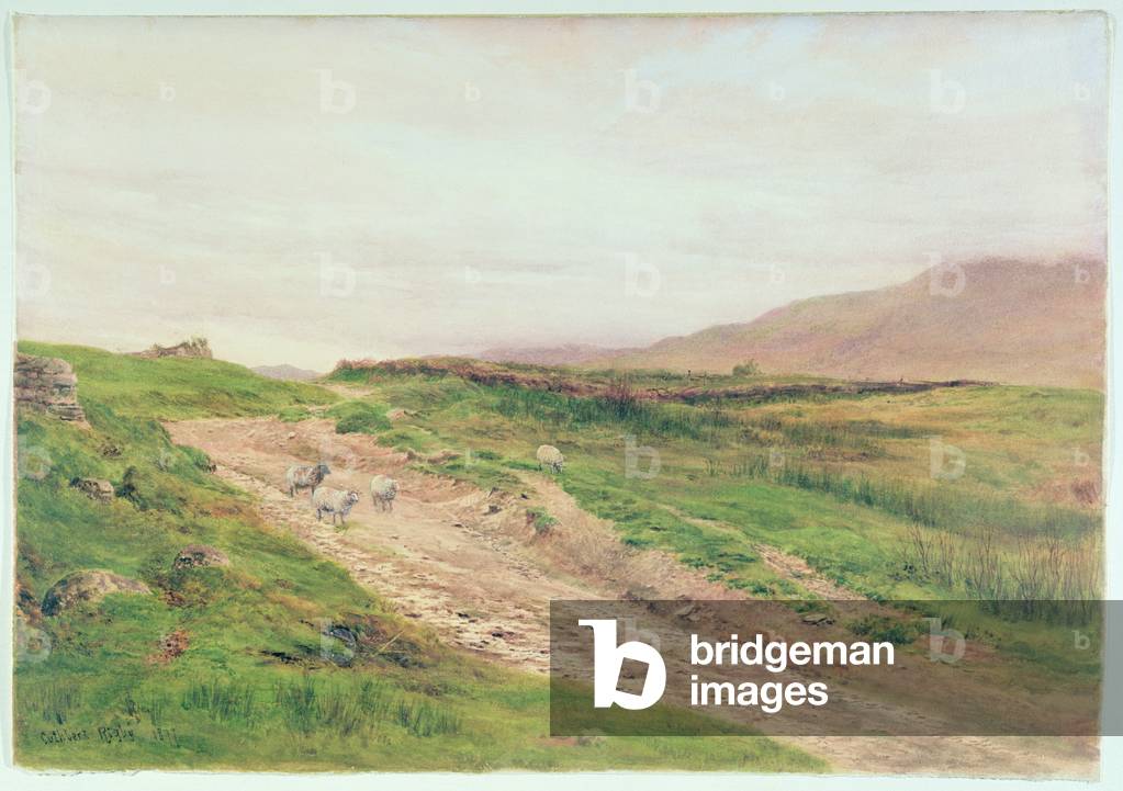 Lake District (w/c on paper)