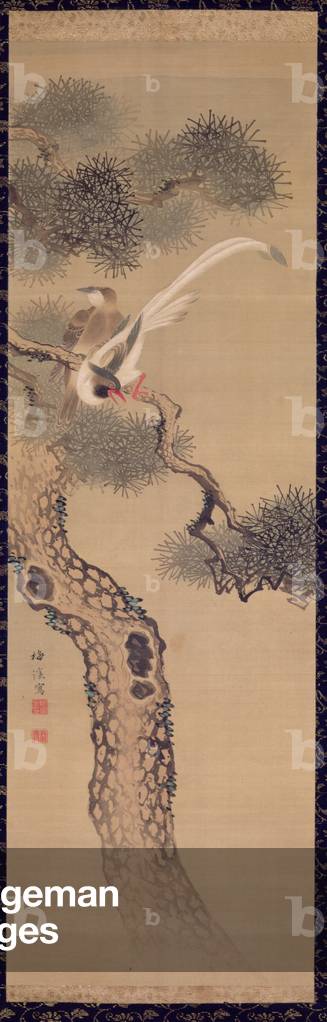 Long-tailed birds in pine tree, c.1800 (ink and colours on silk)