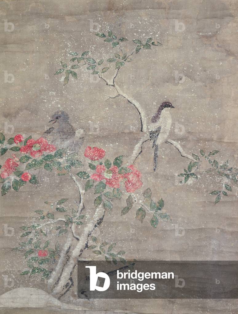 Birds and camelia in snow, c.1700 (ink and colours on paper)