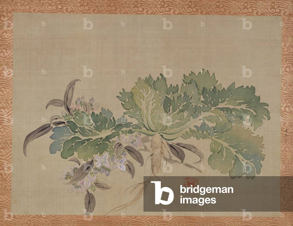 A tuberose, 1851 (watercolour on silk)