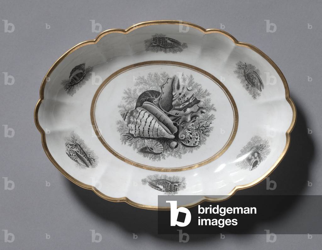 Oval Dish, Barr, Flight & Barr, 1807-1813 (porcelain) 