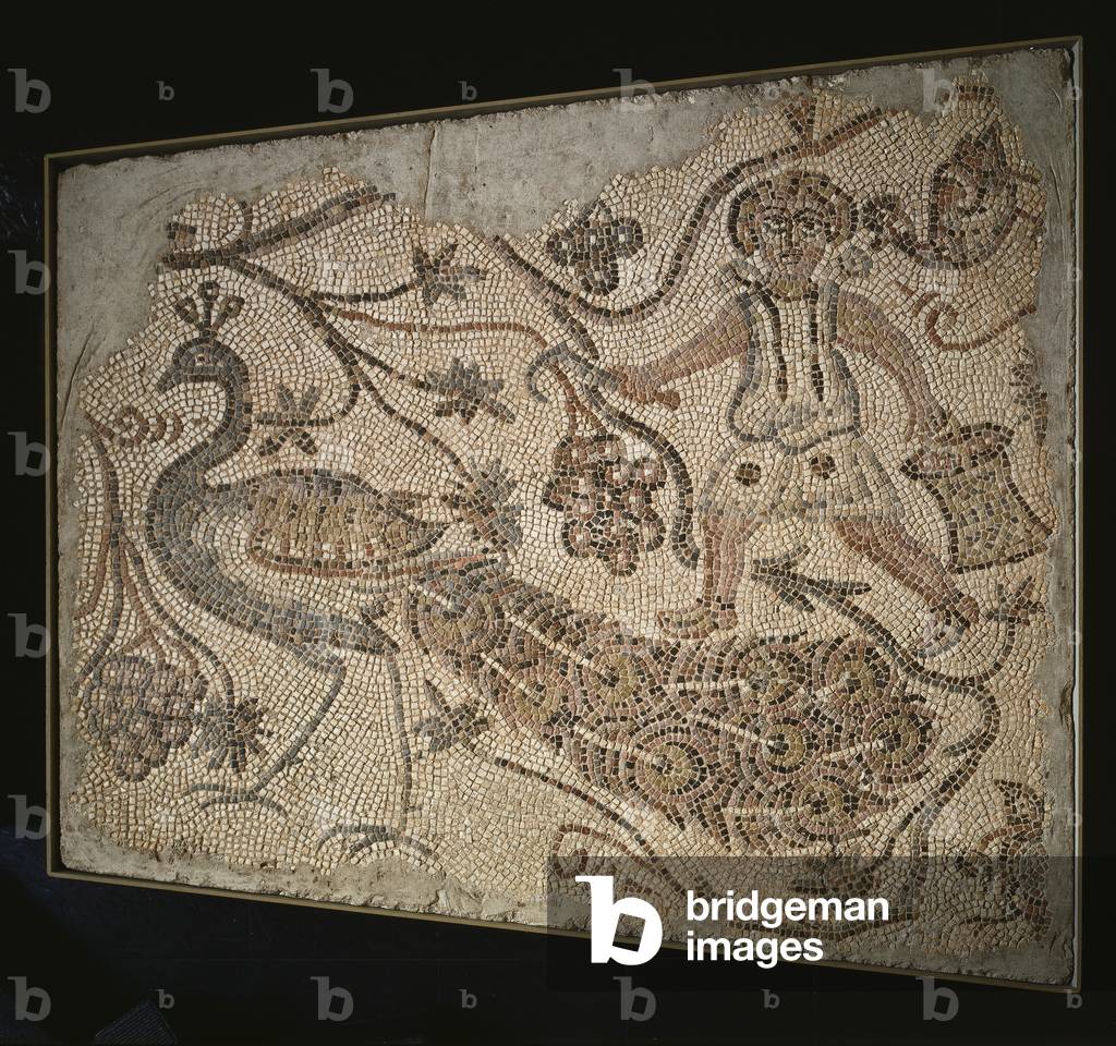 Floor Mosaic Panel: Grape Harvester with Peacock, 400s (marble tesserae)

