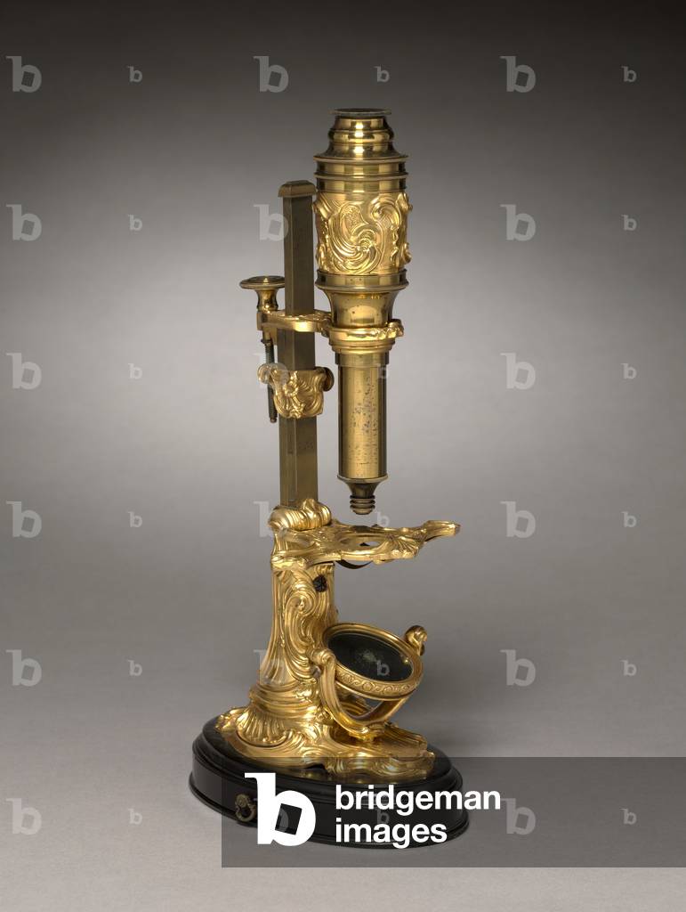 Microscope, c.1745-1765 (gilt bronze mounts)
