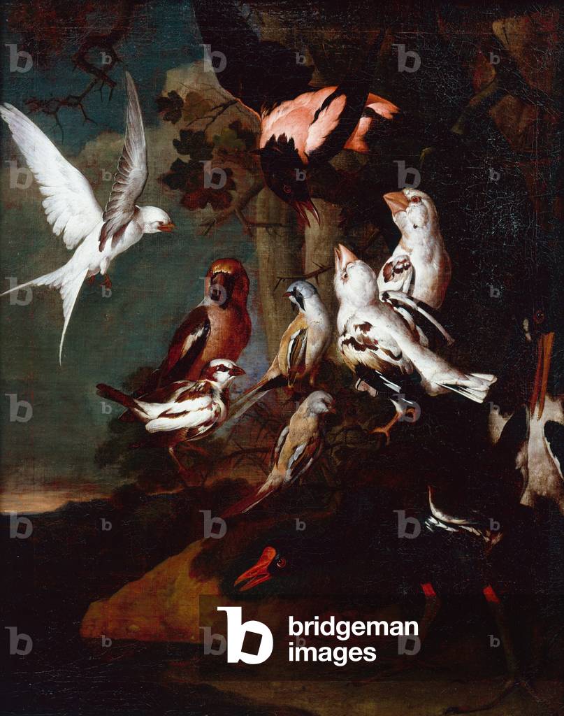 A Moorhen, Swallow, Finches and other birds in a Wooded River Landscape (oil on canvas)