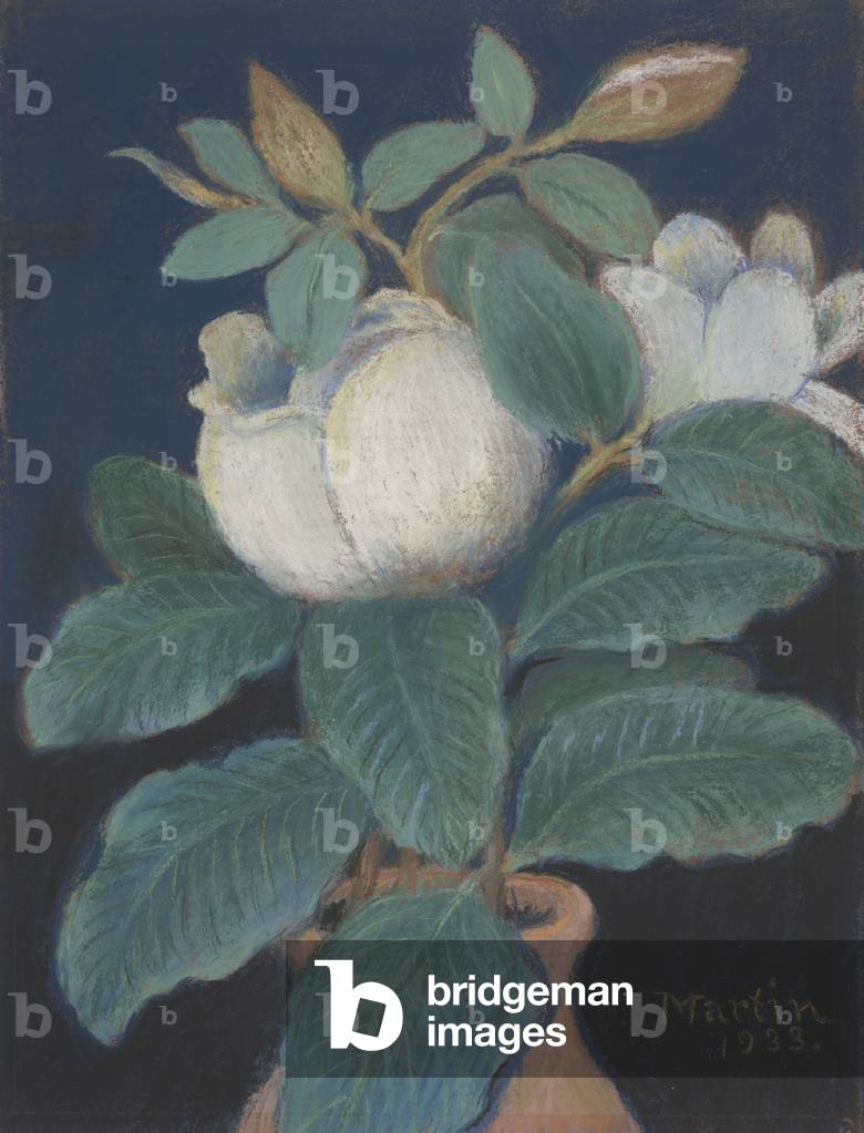 Magnolia Blossoms, 1933 (pastel on masonite)