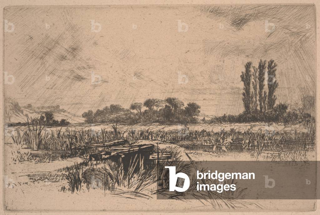 A Water Meadow (etching & drypoint)