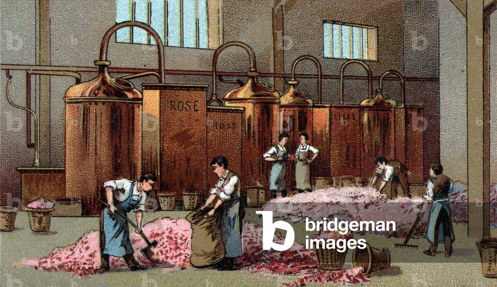 Flower distillery for the production of petrol and water of Flowers. Chromolithography of the late 19th century