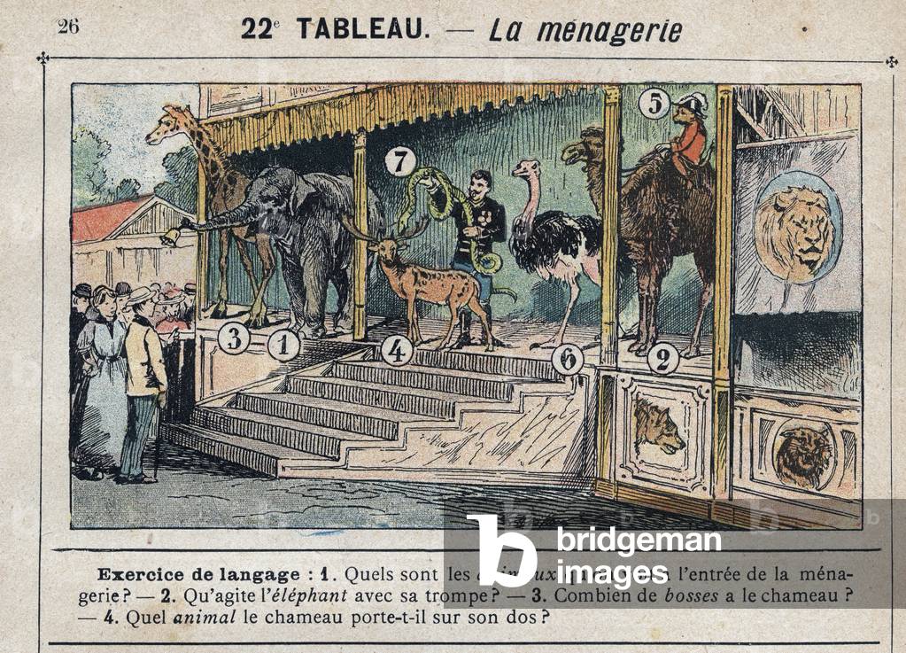 La menagerie, (engraving)