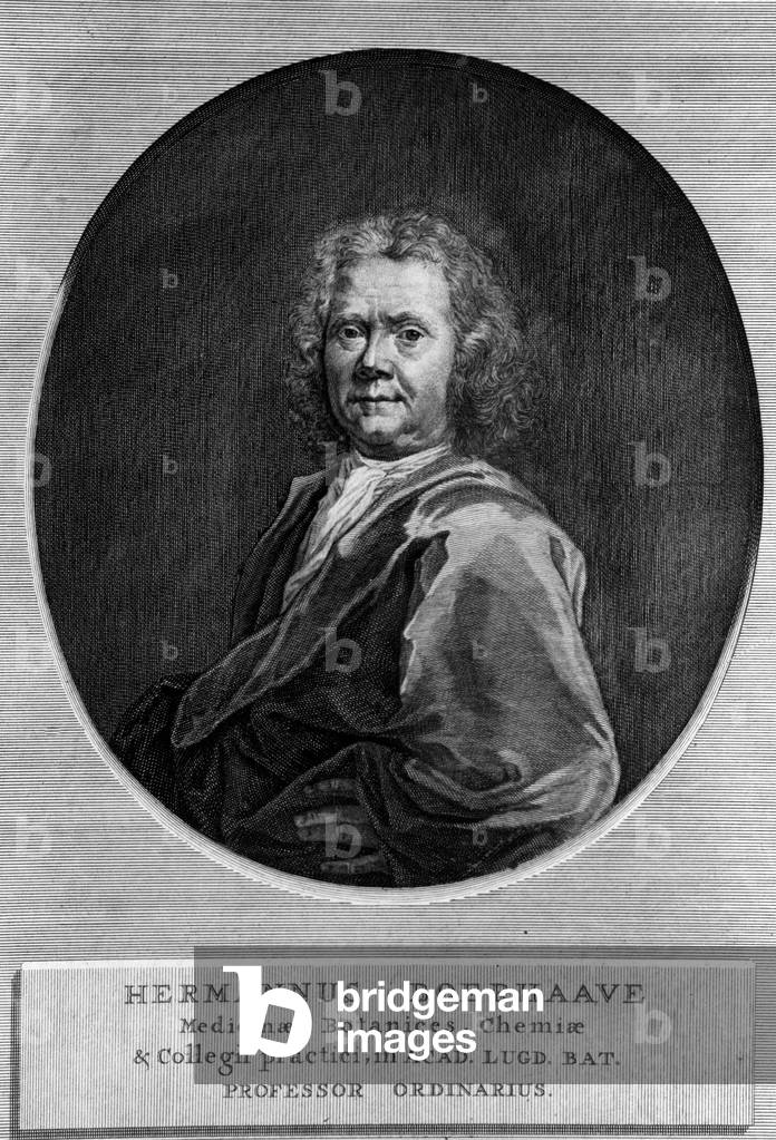 Portrait of HERMAN BOERHAAVE Dutch doctor