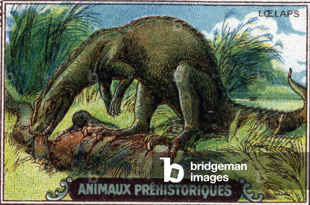 Prehistoric animal: Loelaps.