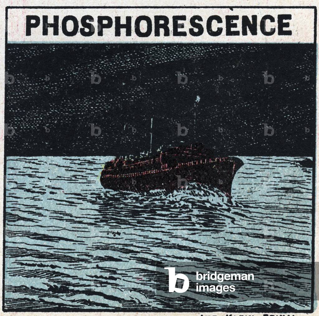 Phosphorescence: the wake of a boat leaves a light mark at night when it passes in the middle of a bank of phosphorescent animals called infusoria 