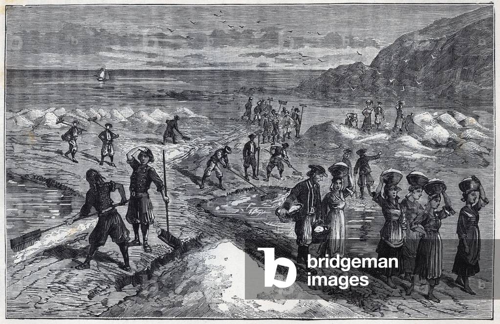 Marais salants de Bretagne im 19. Jahrhundert - Gravur in „Wissenschaften dankbar gemacht - Physik und Chemie“