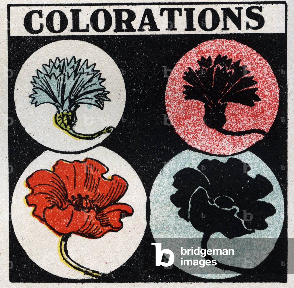 Colours: Colours. Anonymous illustration of 1925 (print)
