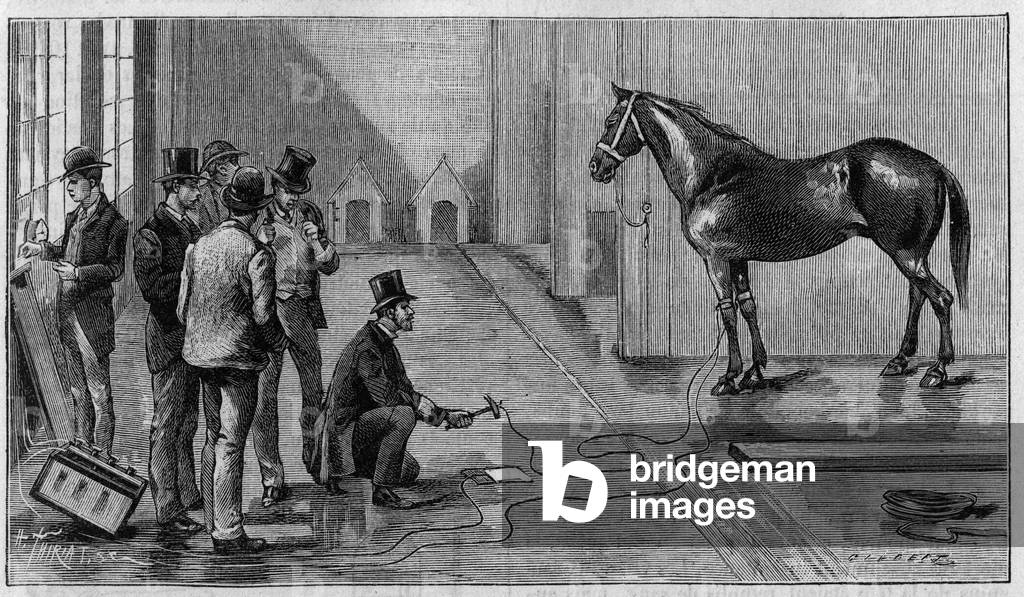 Death by Electricite: a horse kills by electricite during an experiment performed at the Laboratory of Edison, Orange (United States). Engraving in “” La Nature: revue des sciences et de leurs applications aux arts et a l'industrie”” of 19 January 1889.