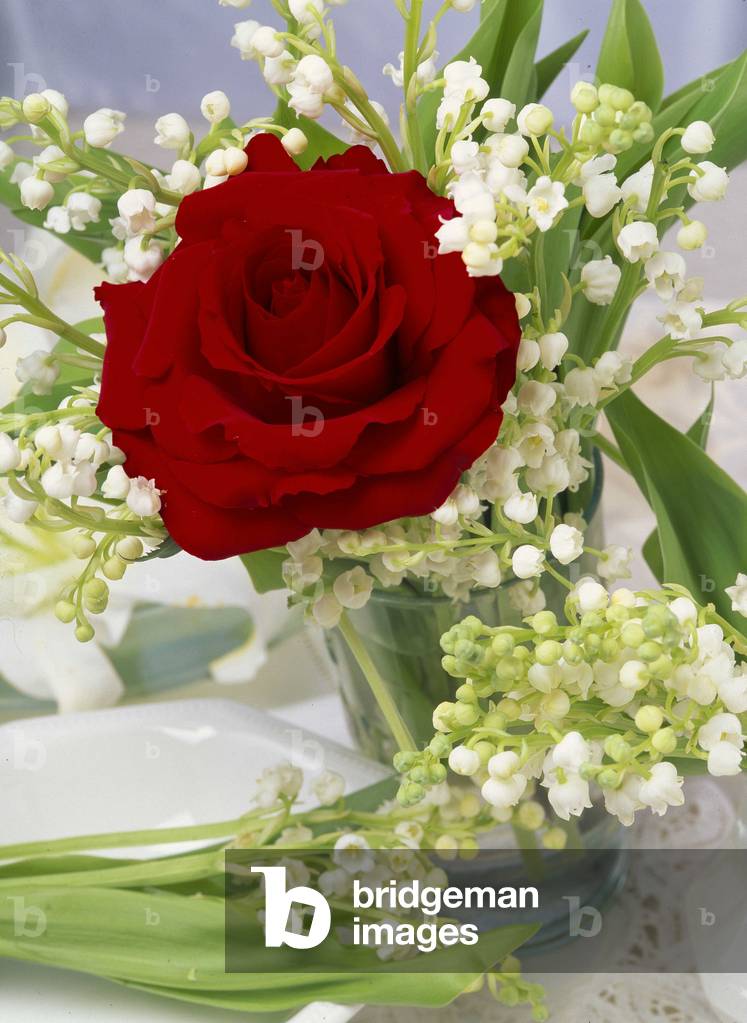 Still life of a bouquet of lily of the valley encircling a red rose.