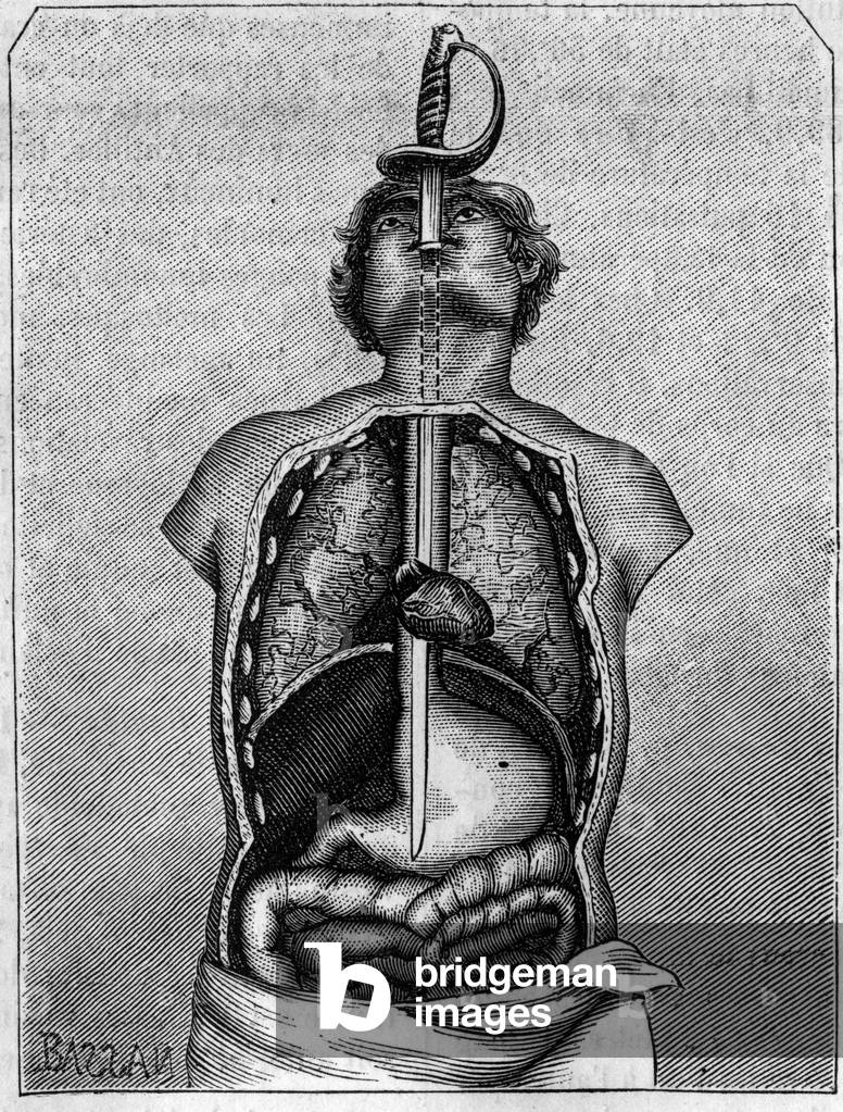 Position occupied by the blade in the body of a swallow. Engraving in “” La Nature: revue des sciences et de leurs applications aux arts et a l'industrie”” of 21 July 1883.