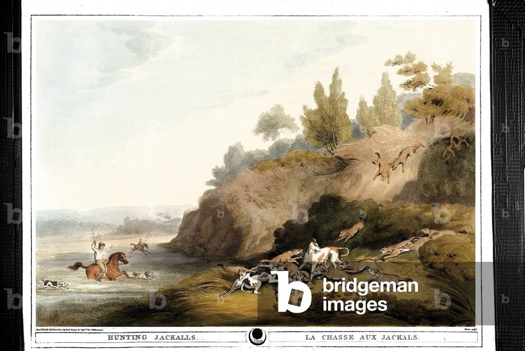 Image de Estampe représentant La chasse aux chacals. Gravure de Samuel Howett (1756-1822) in ""Oriental field 
