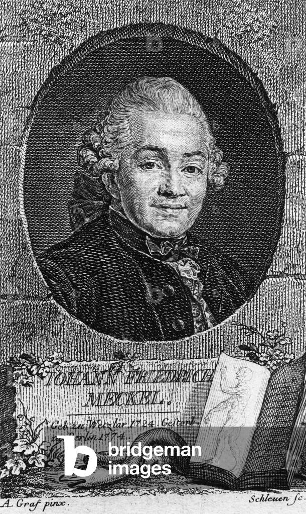 Portrait of Johann Friedrich Meckel German anatomist