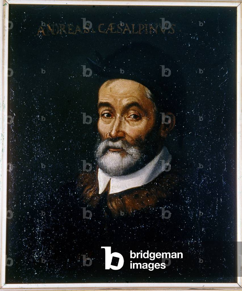 Portrait of Andrea CESALPINO