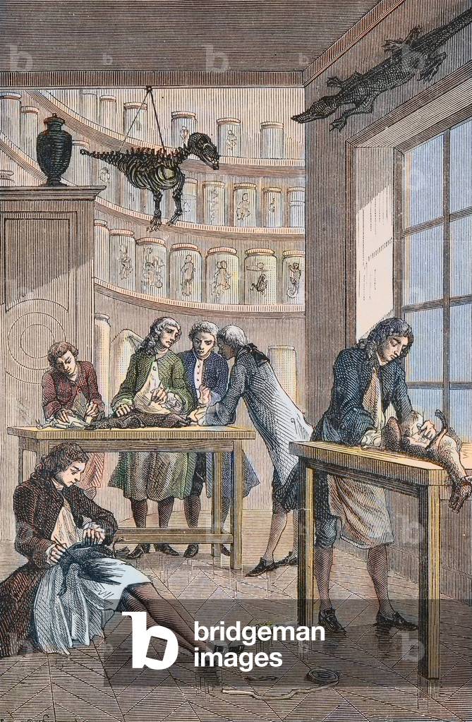 Albrecht von Haller in his laboratory Bern in Switzerland (engraving)