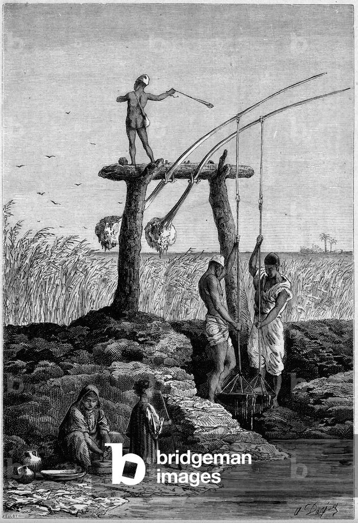 Irrigation in Egypt: chadoufs (or shadoufs) on the banks of the Nile. Engraving In “” Le Monde Illustré”” n°1313 of 27 May 1882.