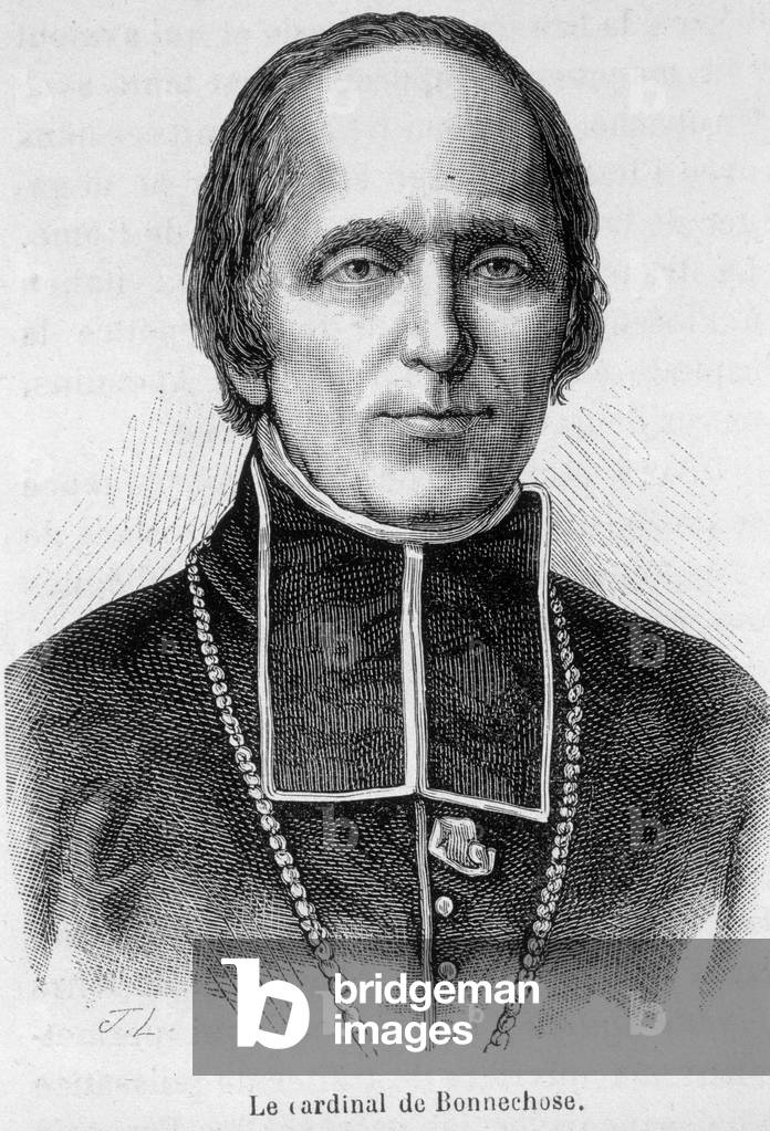 Portrait of Cardinal de Bonnechose