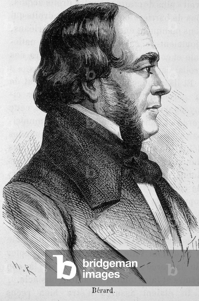 Portrait of Bérard - in “” L'Histoire de France”” by Henri Martin, 19th century.