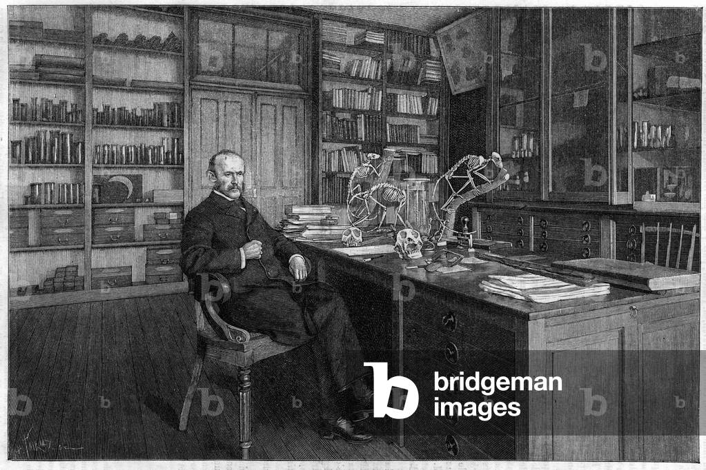 Alphonse Milne Edwards French zoologist, member of the Academy of Sciences and Director of the Natural History Museum, in his office, 1895 (engraving)