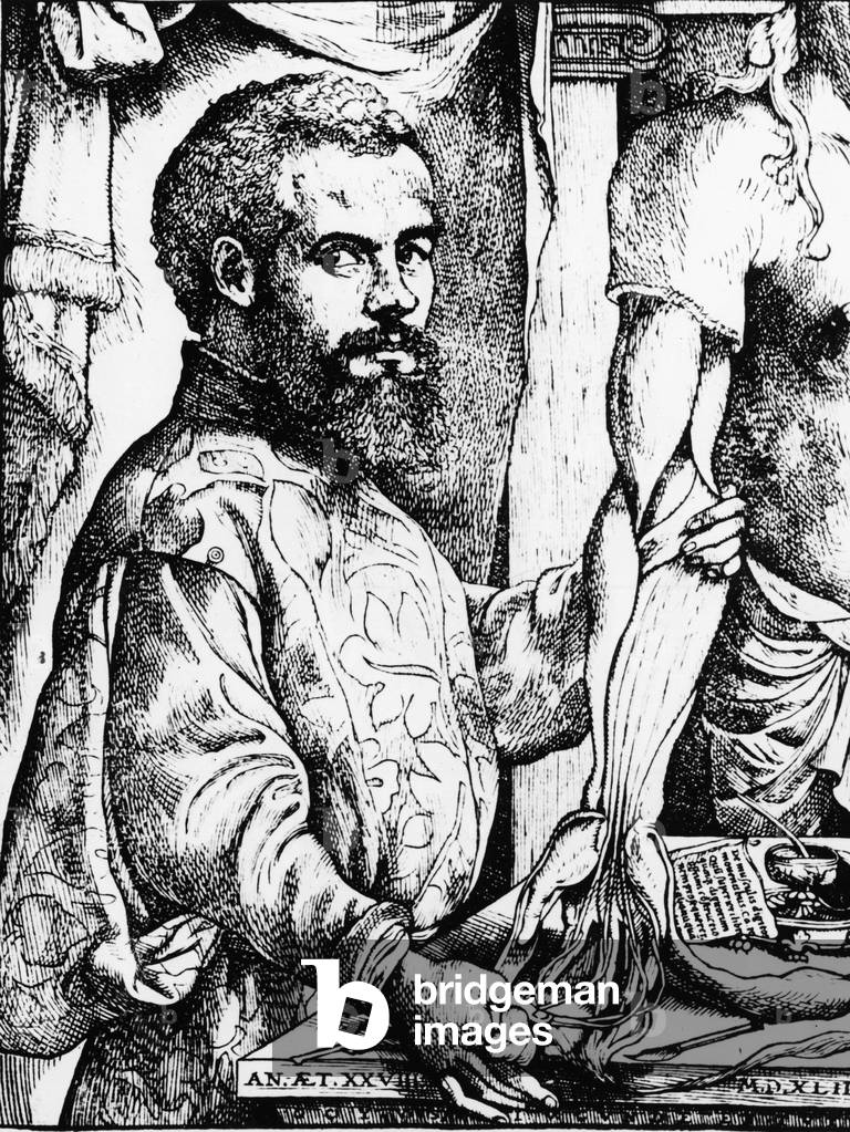 Portrait of Andre Vesale, Flemish anatomist
