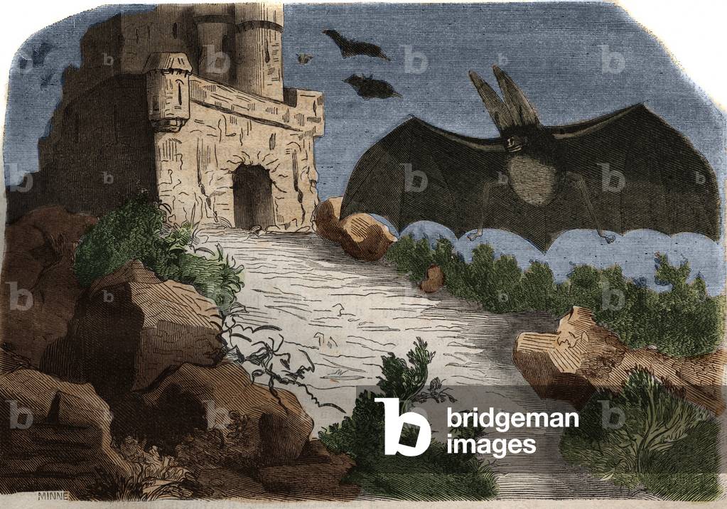 Engraving from 1858 in “The Musee Des Sciences