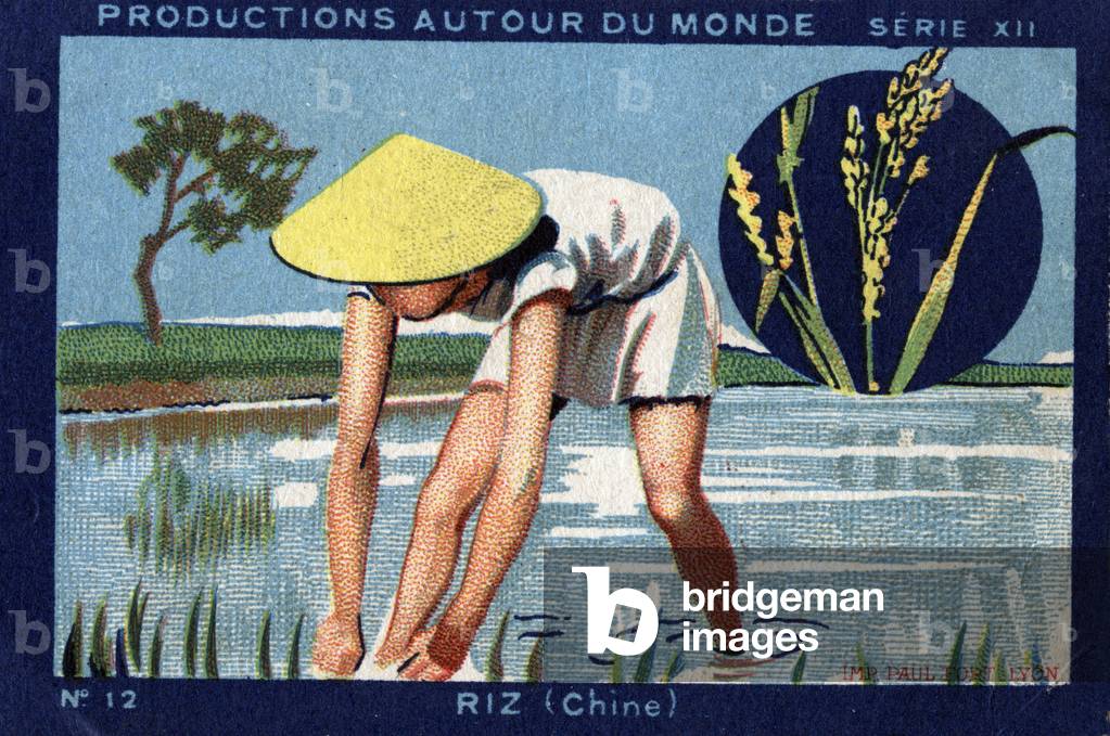 Productions around the world: Rice in China, 1933 (chromo)