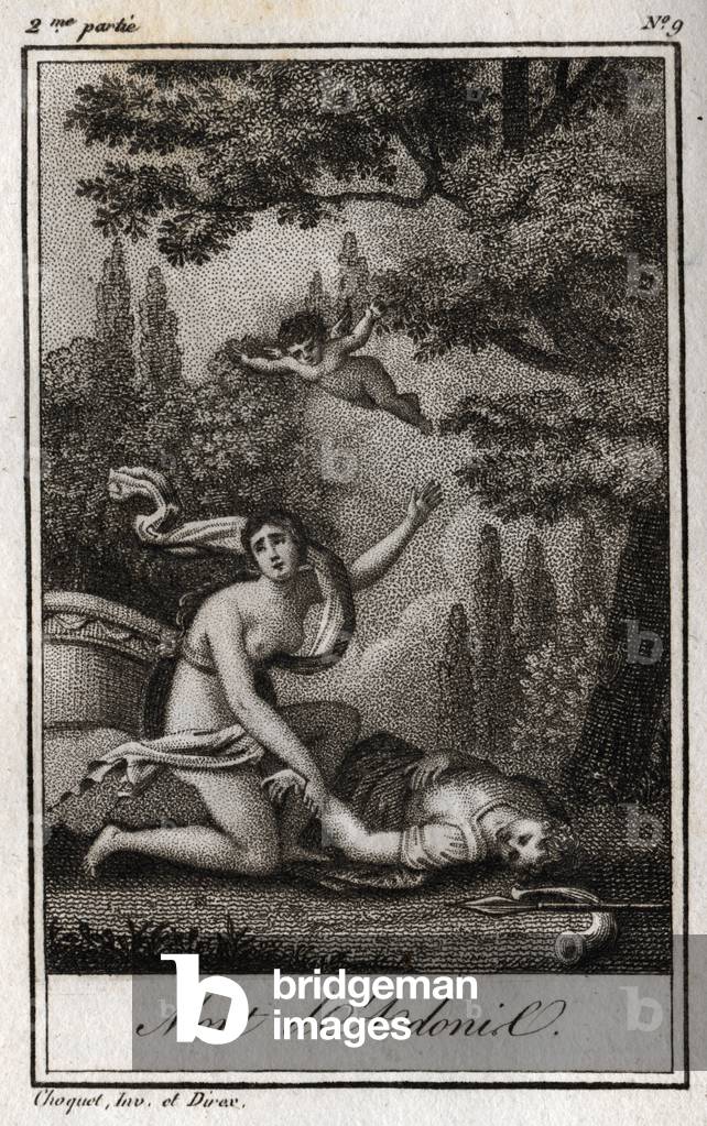 Adonis's death, 1819 (engraving)