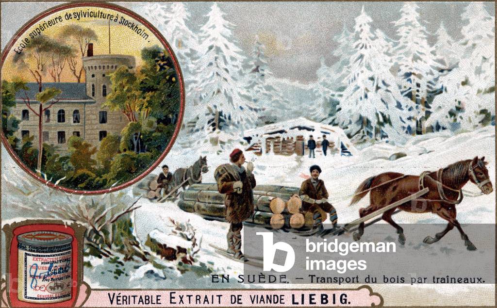 Wood transport by sleds, Sweden. Chromolithography, Liebig image.