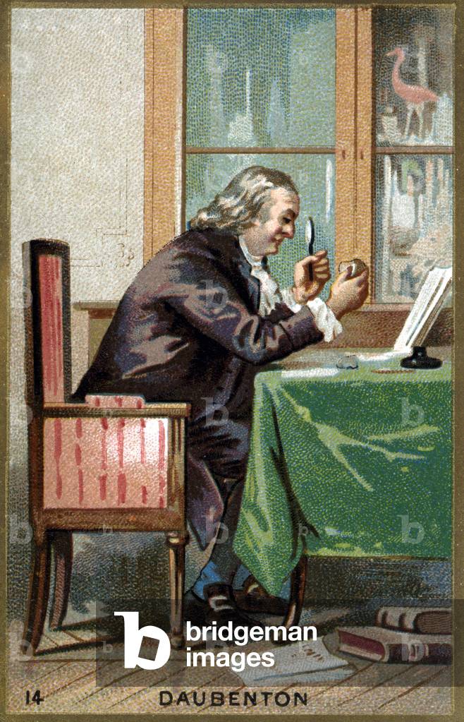 Portrait of Louis Jean Marie Daubenton, dit Daubenton (1716 - 1800), French naturalist. Chromolithography of the 19th century.