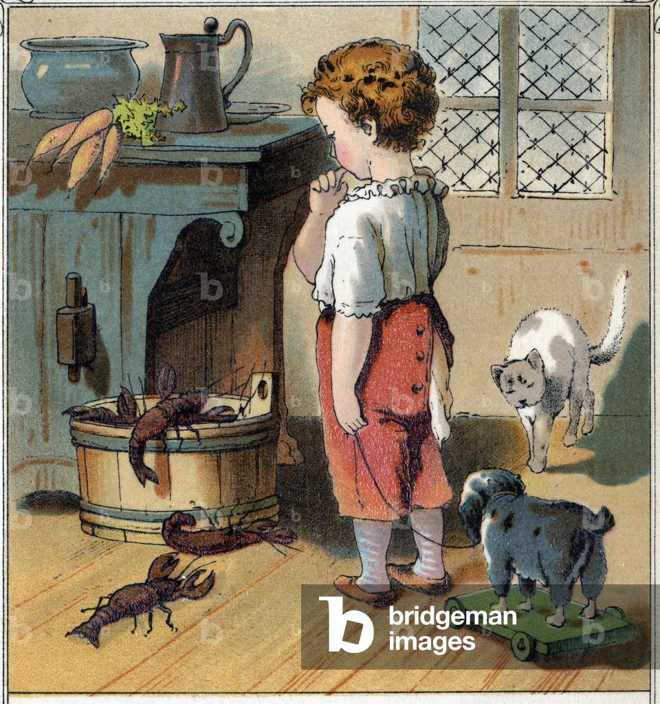 Adolphe pushes by curiosite, takes advantage of being alone in the kitchen to approach the bucket containing crayfish, 1885 (engraving)