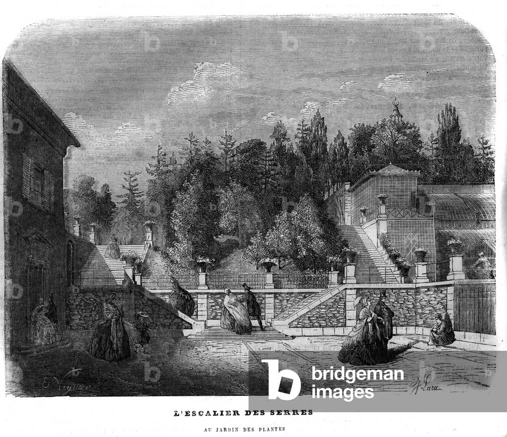 The staircase of greenhouses in the garden of plants in Paris in 1858.