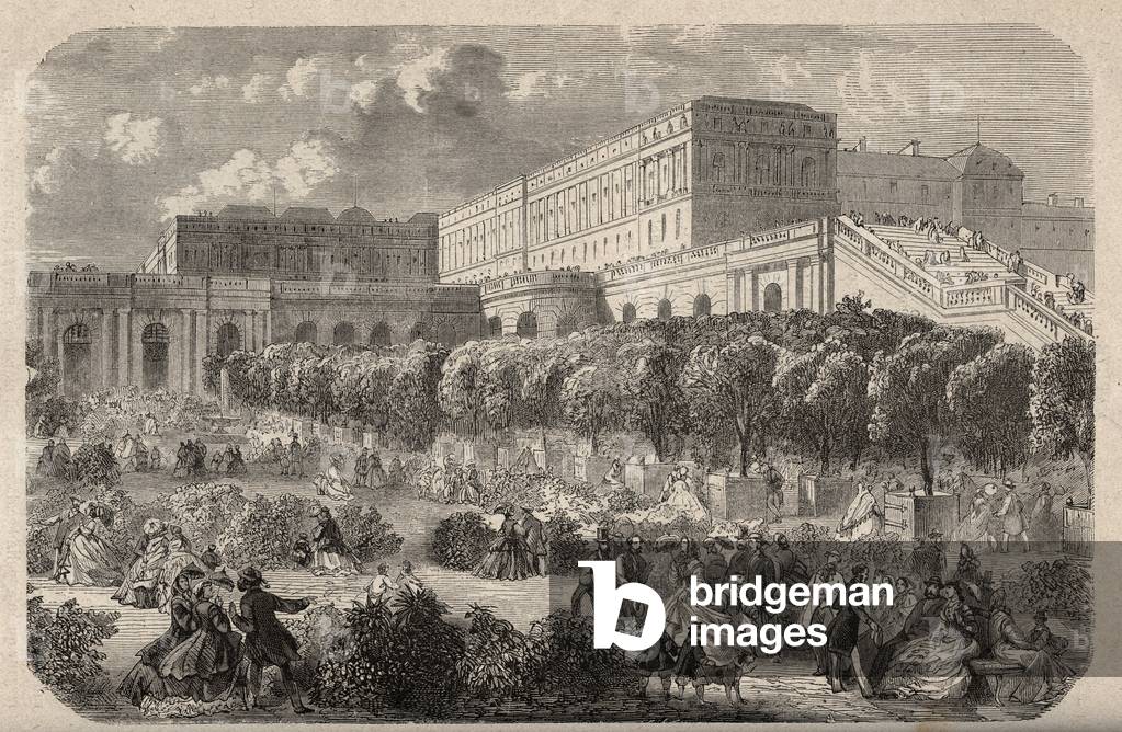 The Versailles Orangerie - Orangerie du chateau de Versailles - engraving in “” PATRIE” - DESCRIPTION PECTUREQUIREQUE DE LA FRANCE EN 6 VOLUES BY LUCIEN HUARD - end 19th century