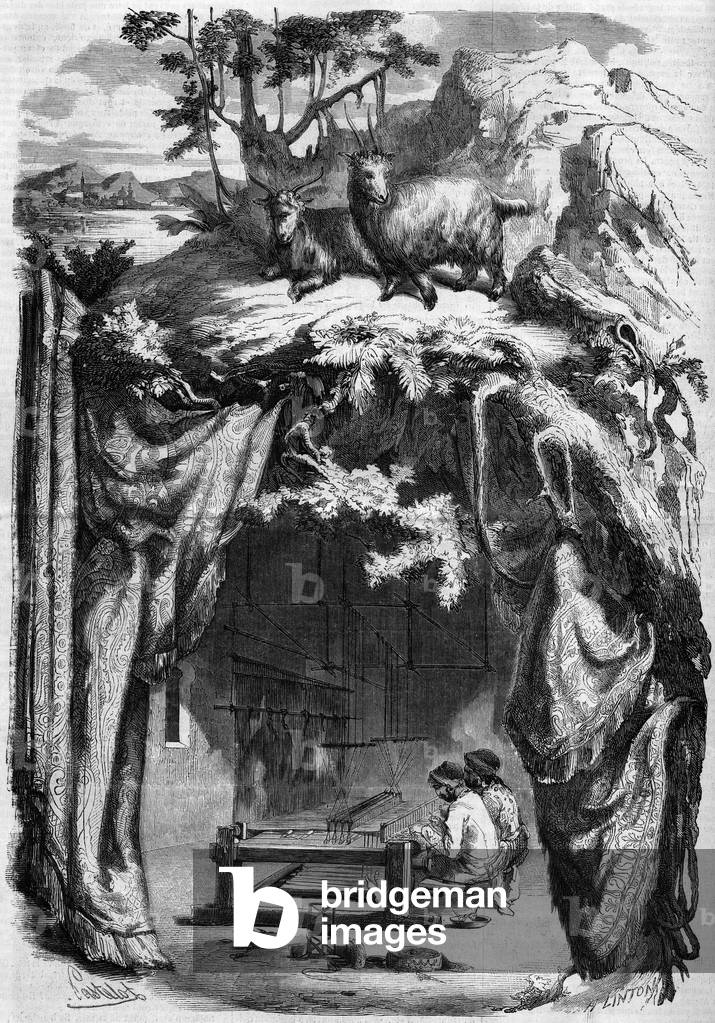 Manufacture of cashmere, India, 1858: workers handling a weaving mill in Benares, India. Engraving in “” Le Monde Illustré”” n°83 of 13 November 1858.