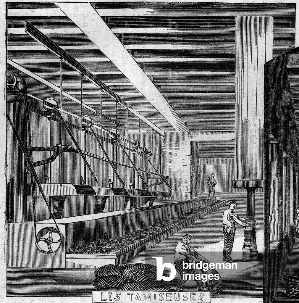 Manufacture des tabacs, Paris, 1860: the sifters. Engraving in “” Le Monde Illustré”” n°159 of 28 April 1860.