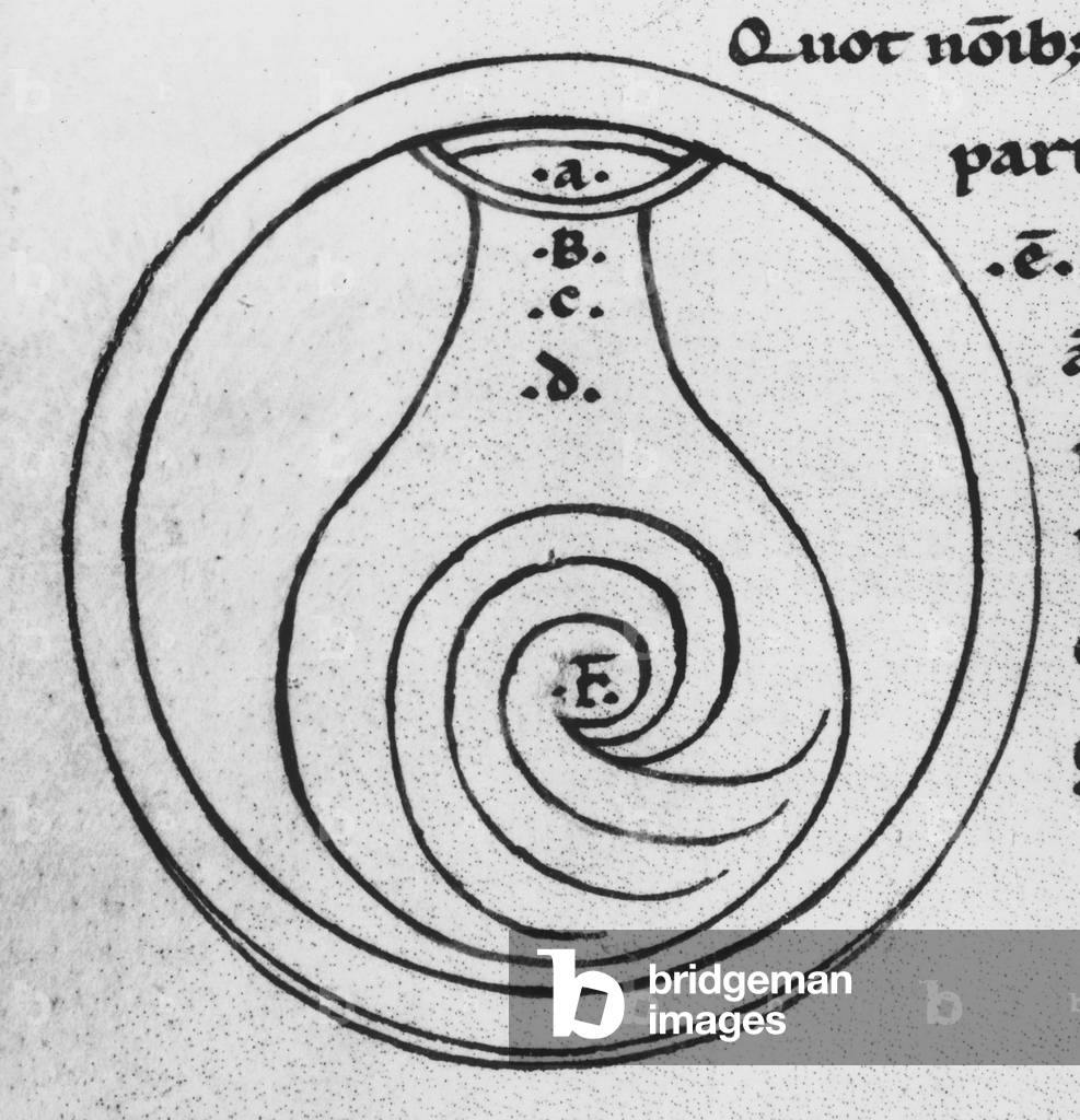 Anatomy: representation of the uterus by Garioponto (970 - 1050), Italian doctor of the Middle Ages, Biblioteca Civica Bertoliana, Vicenza